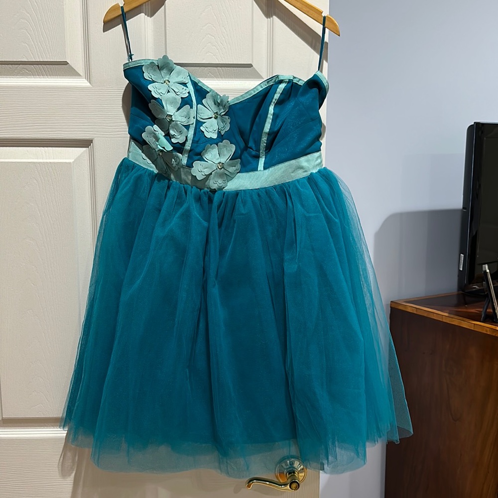 Francesca’s Blue Dress